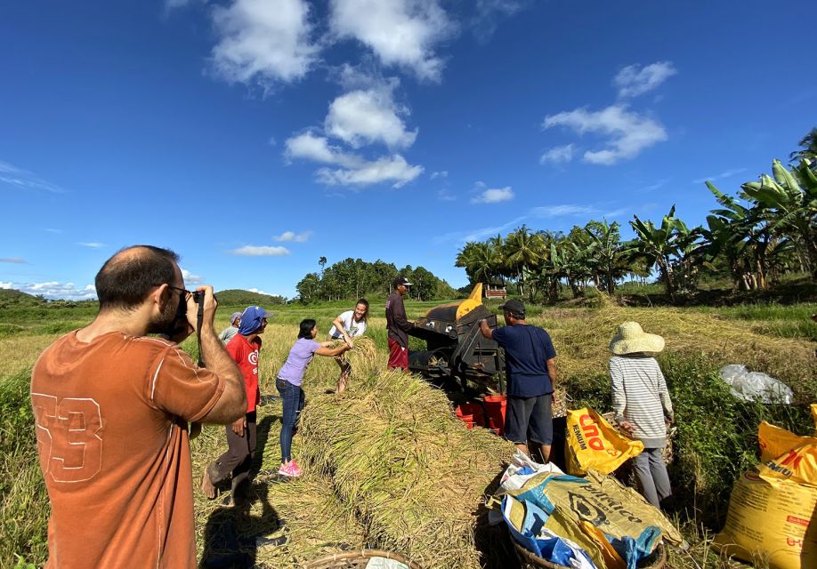 Panglao: Dao, Forests, and Tarsier Sanctuary Tour With Lunch - Exploring Dao Market