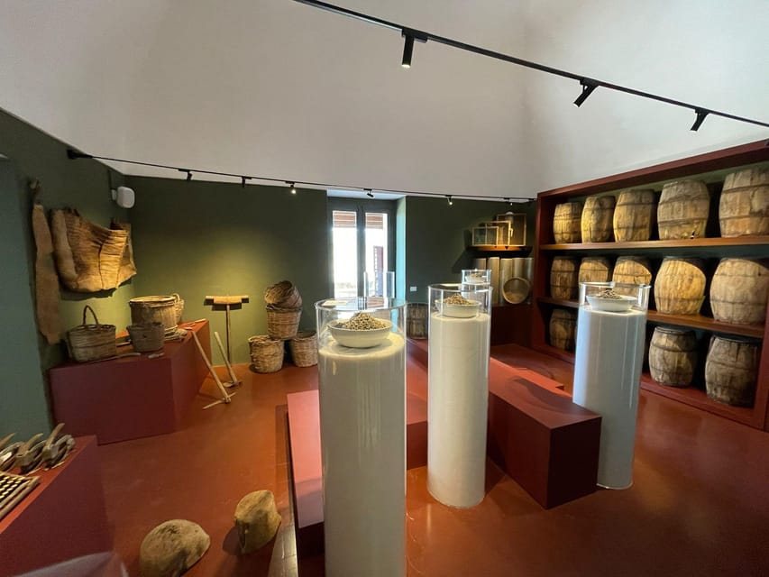 Pantelleria: Visit the Tastiest Museum Ever The Caper Museum - Savoring the Taste of Pantelleria