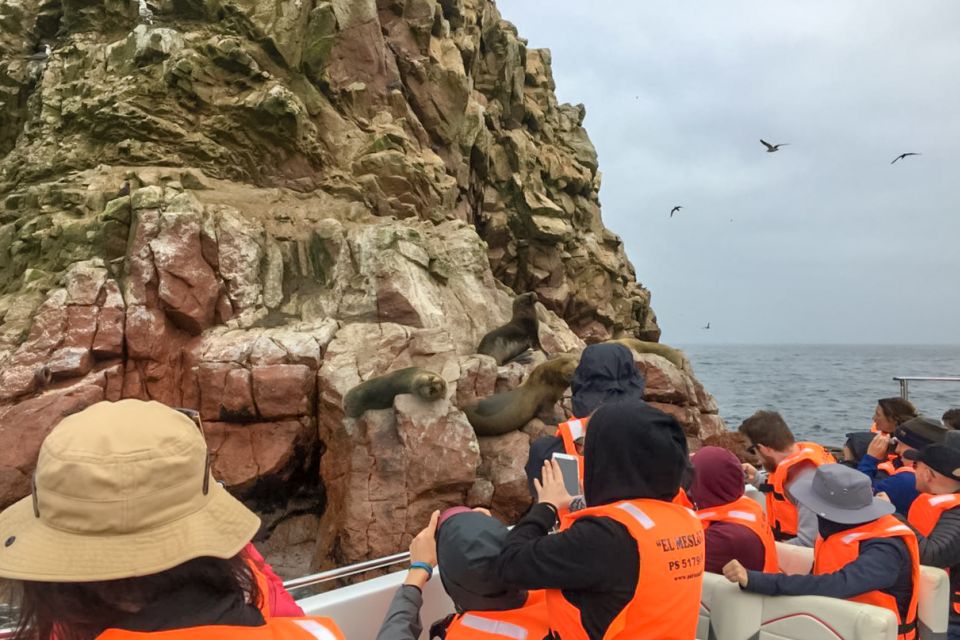 Paracas: Ballestas Islands Morning Boat Tour - Tips for an Enjoyable Tour