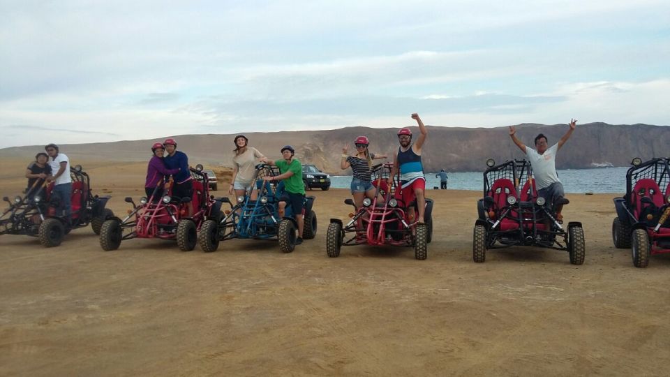 Paracas: Mini Buggy Ride in Paracas National Reserve - Tips for an Enjoyable Adventure