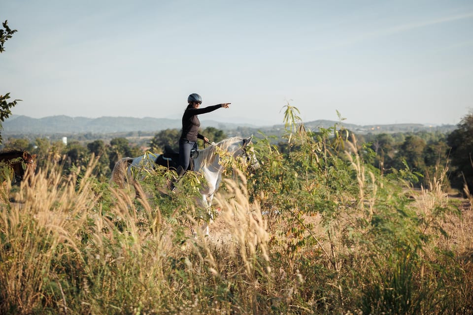 Pattaya, Thailand: Experience Scenic Horse Trail Riding - Booking and Cancellation