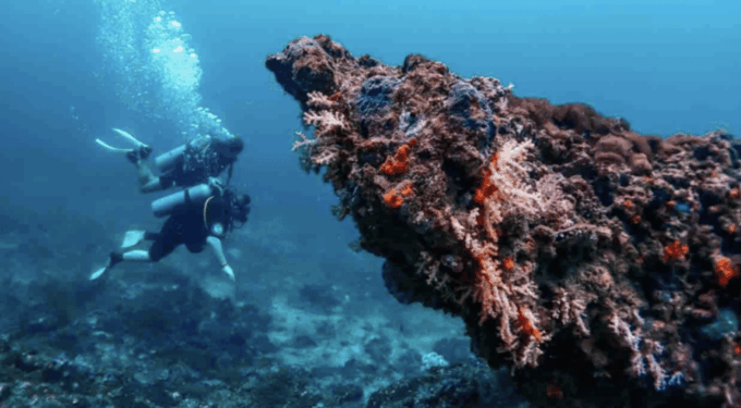 Phi Phi: Scuba Diving With Portuguese Speaking Instructor - Frequently Asked Questions