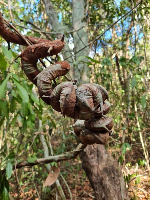 Phu Quoc HIKING Tour: National Park - Fishing Village - Booking Information