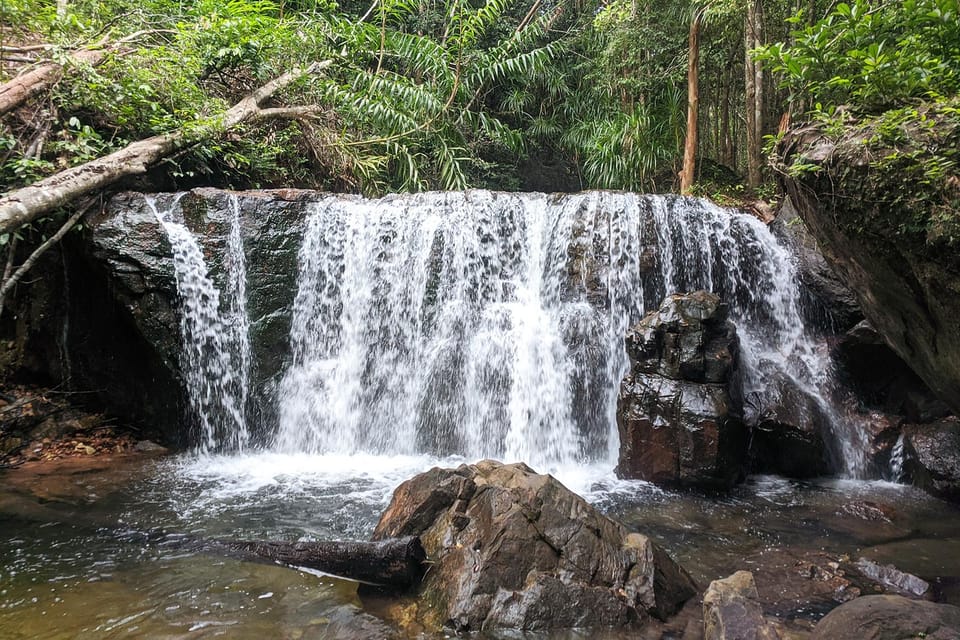 Phu Quoc North and South Island 1-Day Adventure - Phu Quoc Ridgeback and Fish Sauce