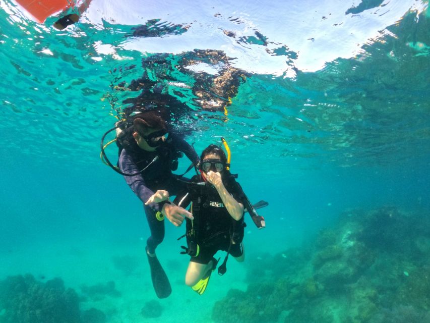 Phu Quoc: Scuba Diving Experience for All Levels - Best Time to Dive