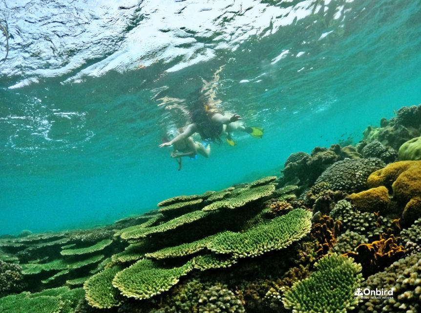 Phu Quoc Small-group Snorkeling to the Coral Jungle Reef - Booking Information