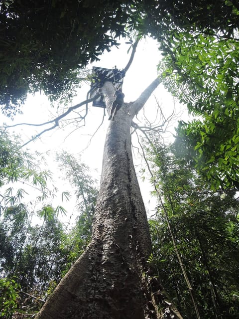 Phuket: Big Buddha Viewpoint ATV Tour and Zipline Adventure - Additional Information and Disclaimers