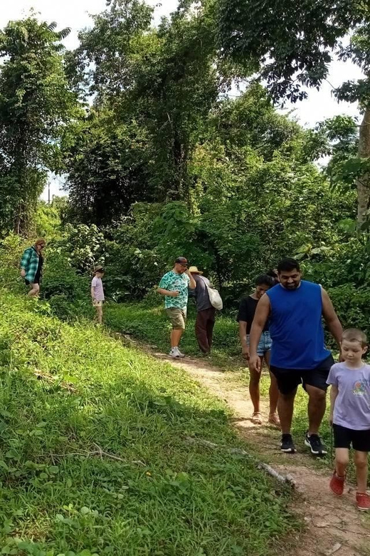 Phuket: Walk and Plant at Elephant Nature Park Visit - Tour Guide and Pickup