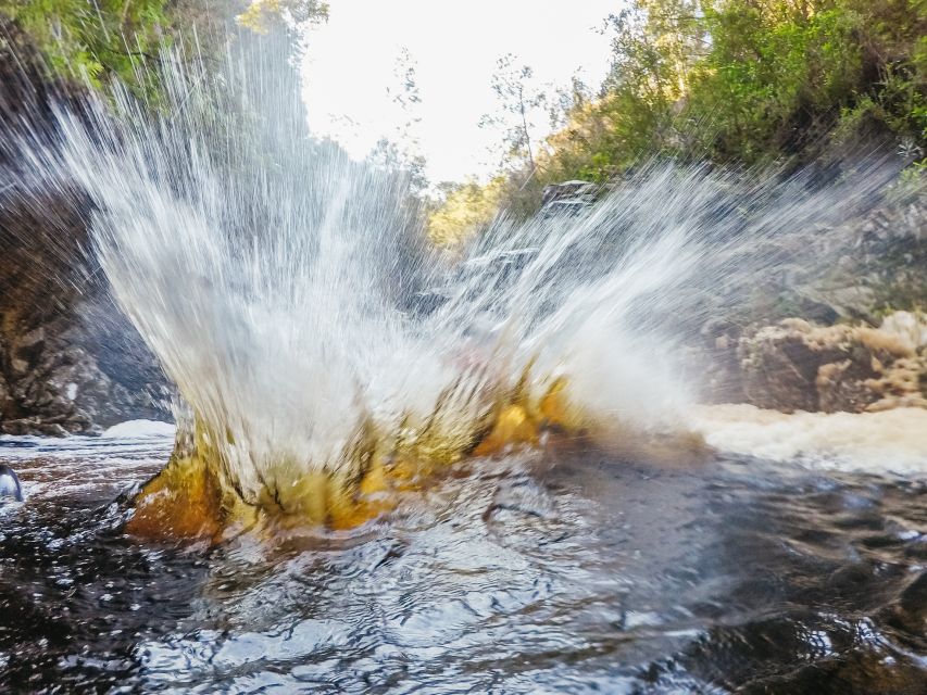 Plettenberg Bay: Canyoning Trip - Pristine Indigenous Forests