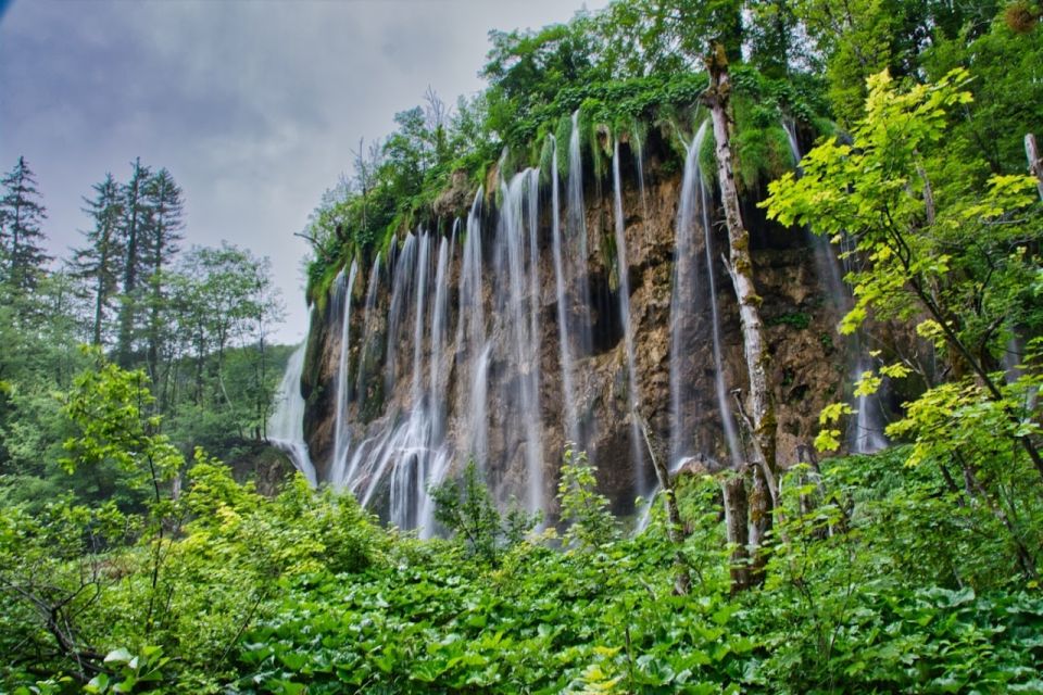 Plitvice Lakes: National Park Official Entry Ticket - Booking and Availability Information