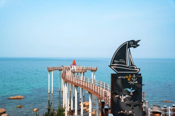Pohang Hometown Cha Cha Cha: Public Taxi Car Private Charter - Customizable Itinerary Option