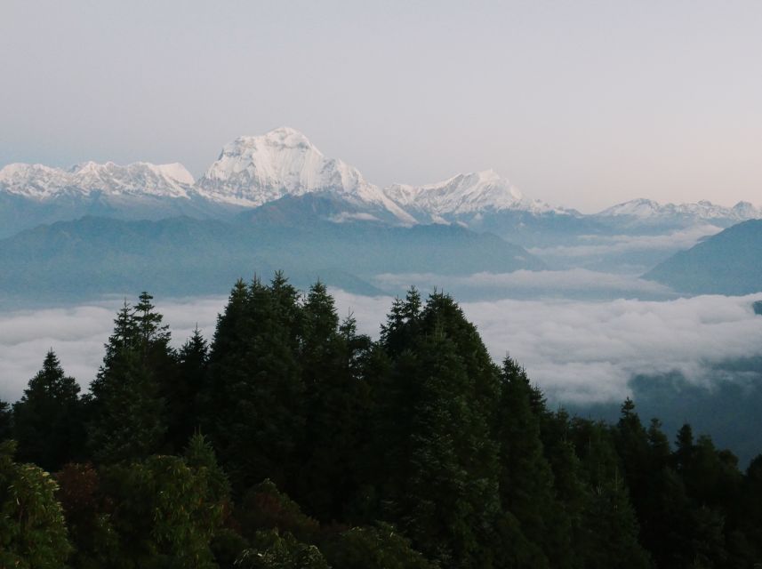 Pokhara:4-Day Ghorepani Poon Hill Guided Trek via Ghandruk - Travel Essentials