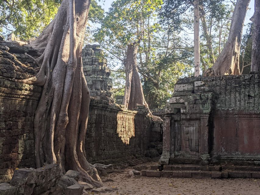 Private Angkor Wat Sunrise Small Tour - Tips for a Great Experience