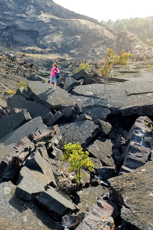 Private Custom Volcanoes National Park Guided Hike - Booking and Cancellation Policy