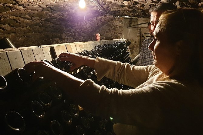 Private Day Tour in Champagne - Logistics, Inclusions, and Feedback