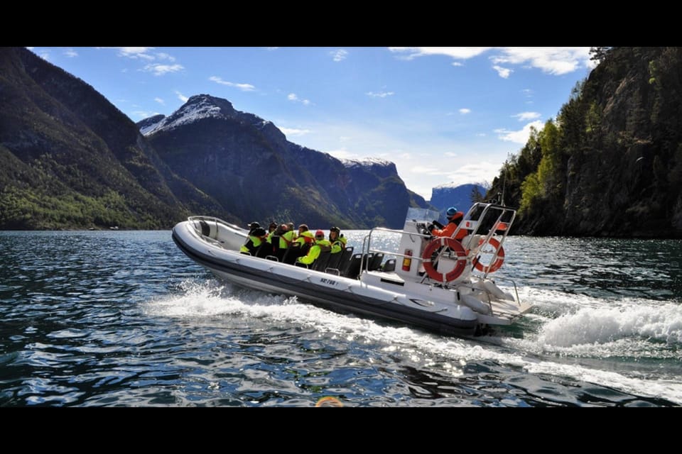 Private Day Tour to Flåm&Rib Sognefjord Safari&Flåm Railway - Booking Information