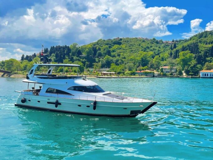 Private Dinner and Cruise on the Bosphorus in Istanbul - Customer Reviews