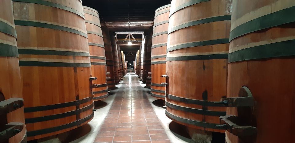 Private Full-Day Wine Tasting Tour in Colchagua Valley - Booking and Cancellation Policy