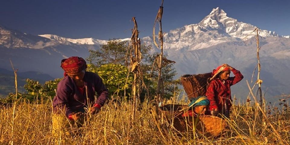 Private Highlight Tour to Explore the Entire Pokhara City - Why Choose This Tour