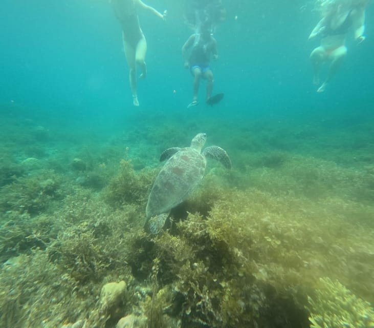 PRIVATE PORT BARTON DAY TOUR FROM PUERTO PRINCESA - Discover Coral Reefs at Snorkeling Sites