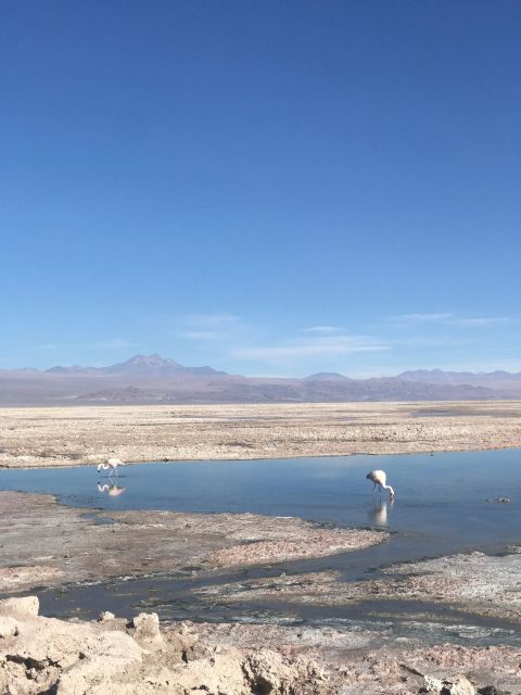 Private San Pedro De Atacama: 3-Day Classic Activity Combo - Important Preparation Tips