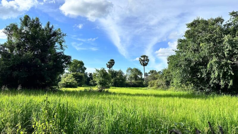 Private Tour Beng Mealea and Kompong Phluk Flooded Village - Importance of Local Economy