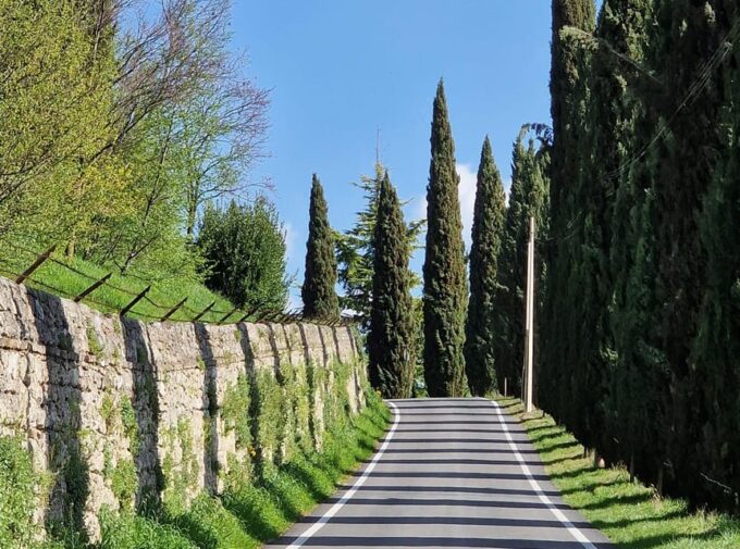 Prosecco Hills Bike Tour From Venice - Frequently Asked Questions