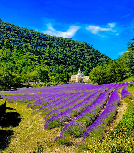 Provence Highlights Full-Day Tour From Avignon - Traveler Experiences and Reviews