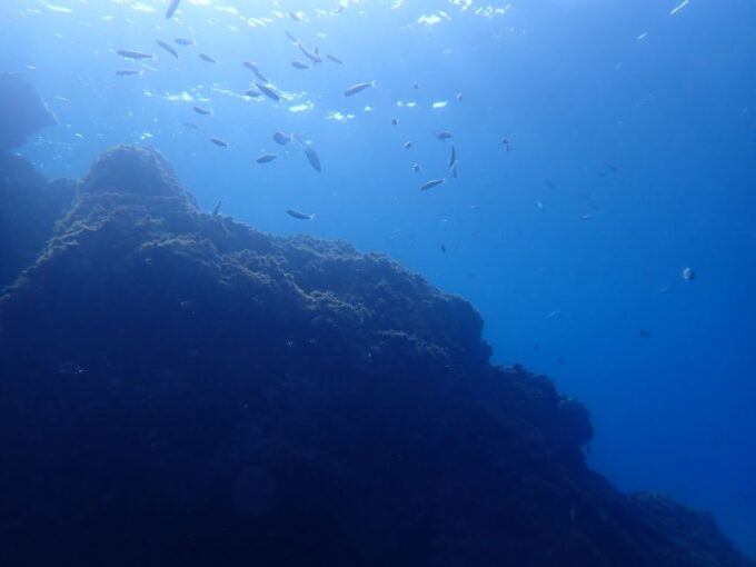 Puerto Del Carmen: Try Scuba Diving From the Beach - Safety Precautions