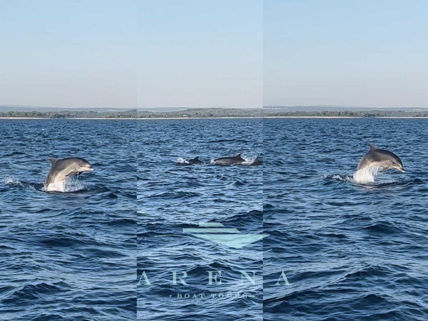 Pula:FANTASTIC DOLPHIN SUNSET TOUR,DINNER & DRINKS( BRIJUNI) - Flexible Booking and Cancellation