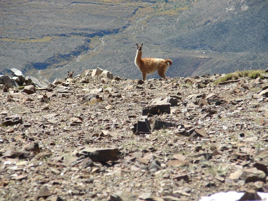 Rancho Gaucho Estate 3 Days in The Andes - Tips for a Successful Trip