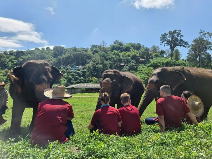Rantong Elephant Sanctuary Chiangmai - Frequently Asked Questions