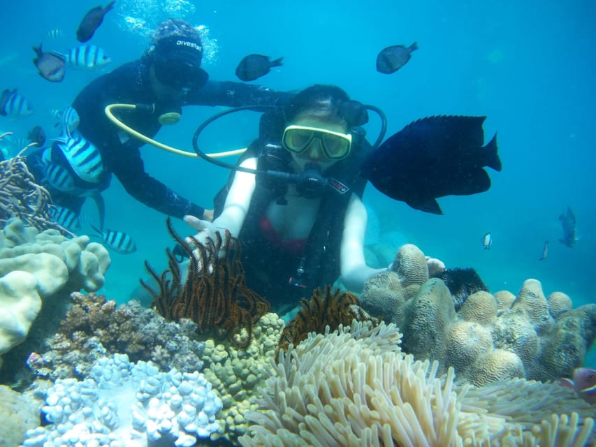 Red River Tour - Scuba Diving At Roi Island Phu Quoc - Booking Information