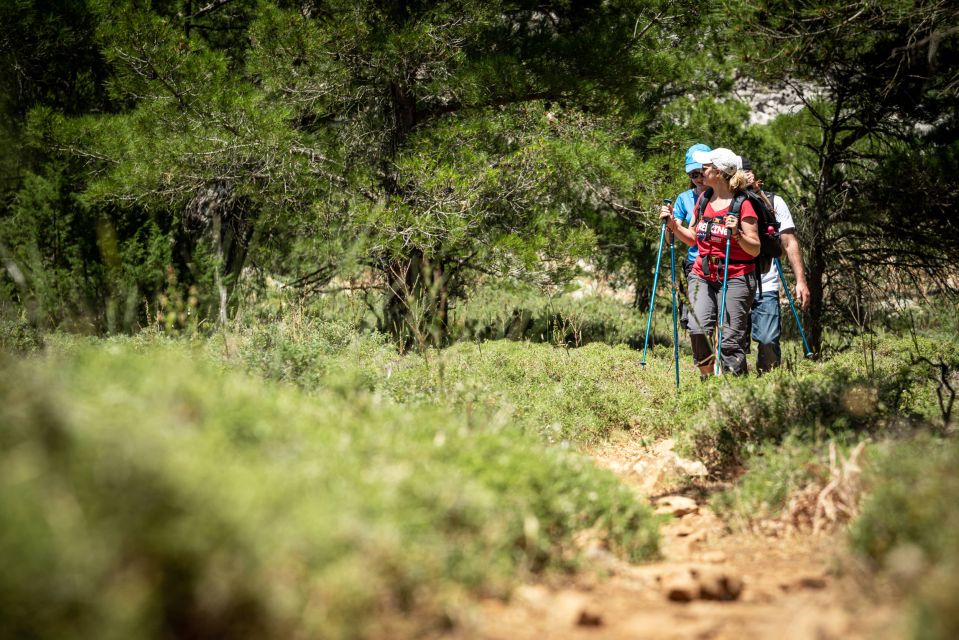 Rhodes: Hiking Tour to the Summit of Akramitis With Photos - Getting to the Starting Point