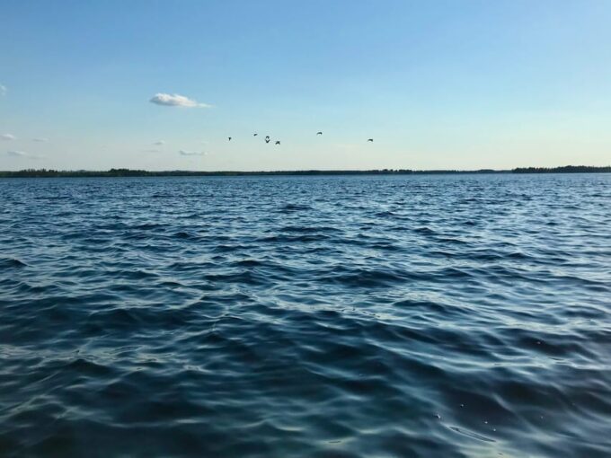 Rovaniemi: All-Day Canoe Adventure - Booking and Cancellation Policy
