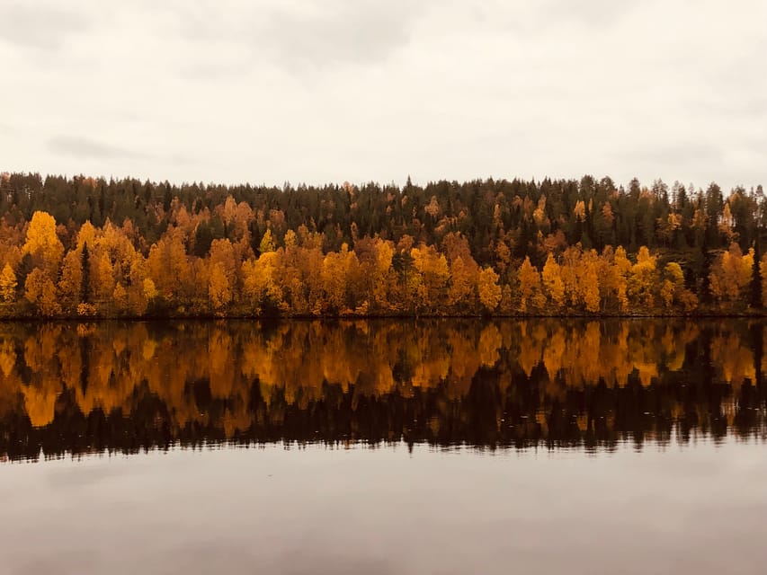 Rovaniemi: Arctic Wilderness & Forests Guided E-Bike Tour - Booking Details