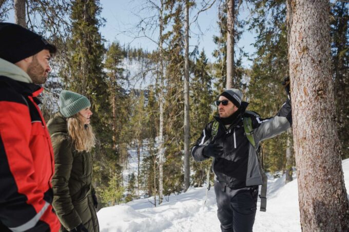 Rovaniemi: Frozen Waterfalls of Korouoma Canyon Hike - Booking and Cancellation Policy