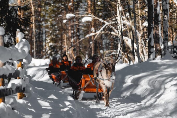 Rovaniemi: Pure Christmas Joy Half-Day Tour - Frequently Asked Questions