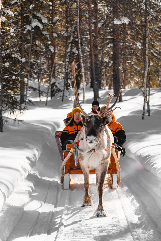 Rovaniemi: Santa Claus Village Tour, Reindeer Ride and Lunch - Exploring Santa Claus Village