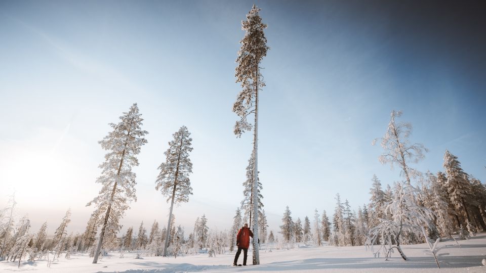 Rovaniemi: Ski Trekking Safari in Lapland - Tips for a Great Experience