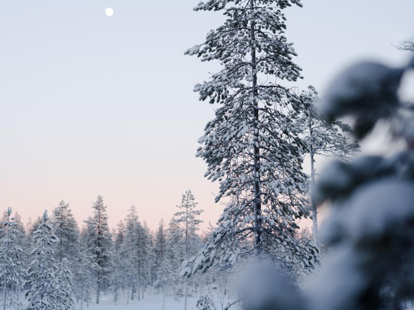 Rovaniemi: Small-group Ski Trek to the Wilderness - Tips for Your Trek