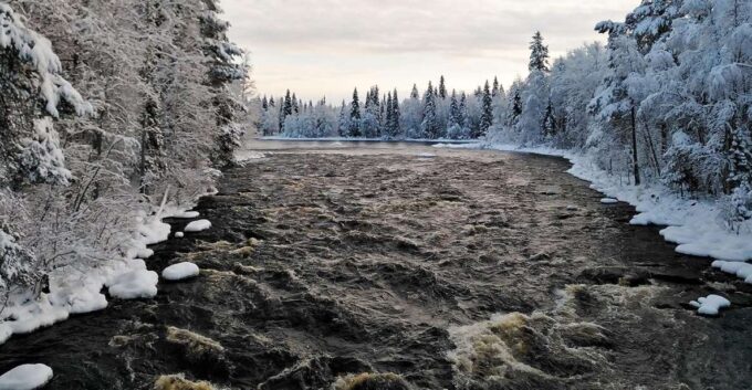 Rovaniemi: Vaattunki Hiking Arctic Circle Trail - Tips for a Great Hike