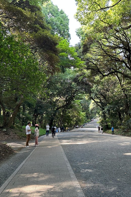 Sacred Morning Walk & Brunch-Meiji Shrine - Cancellation Policy