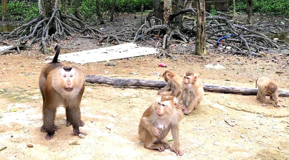 Sai Gon – Can Gio – Monkey Island 1 Day Tour - Booking Process