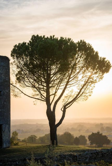 Saint Emilion Half Day Ebike and Wine Tour With Picnic - Booking Information