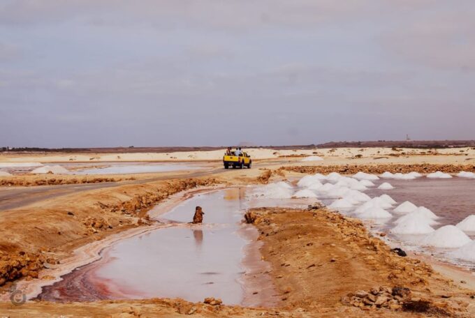 Sal Island: Guided Historical and Cultural Tour - Customer Reviews