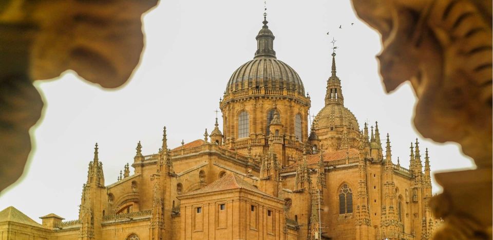 Salamanca: Private Guided Customizable Walking Tour - Frequently Asked Questions