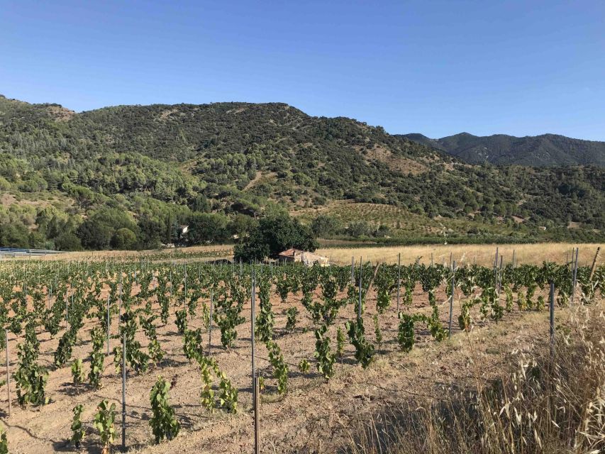 Salou: Priorat Tasting Wine-Cellar Tour With Hotel Pickup - Important Considerations