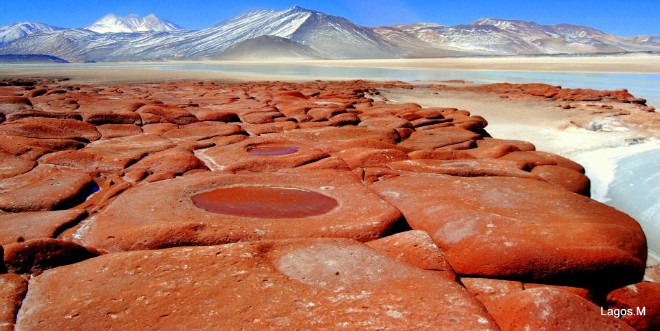 San Pedro De Atacama: Red Rocks & Altiplano Lagoons Day Trip - Booking Details