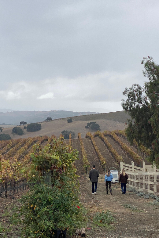 Santa Barbara: Private Guided Wine Tour With Lunch - Booking and Cancellation Policy